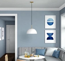 Henn&Hart 16" White/Brushed Brass Metal Pendant