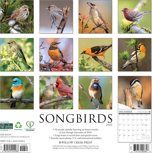SONGBIRDS - 2025 CALENDAR - BRAND NEW - 44988 - Picture 2 of 2