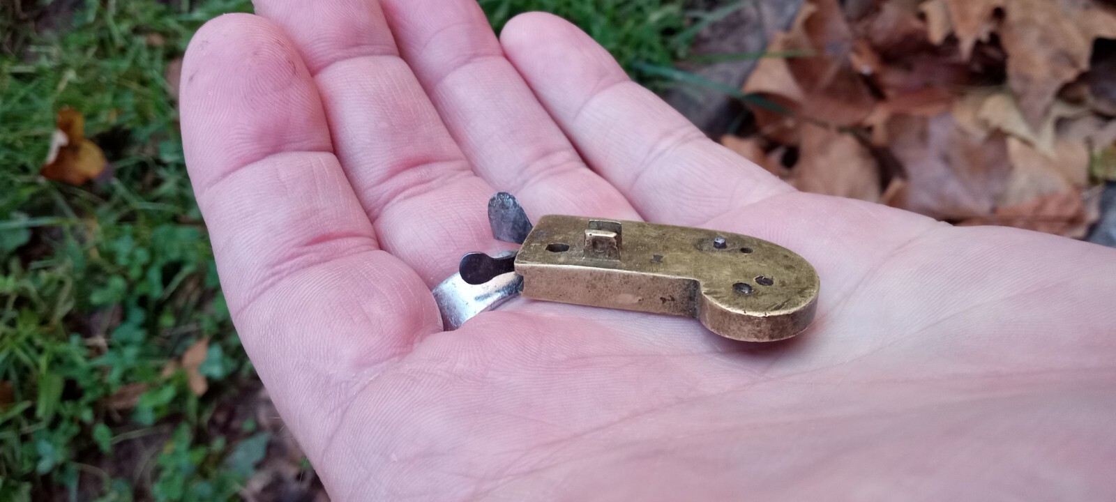 Bloodletting Tool W/Box Genuine Civil War Physicians Medical Tool. eBay