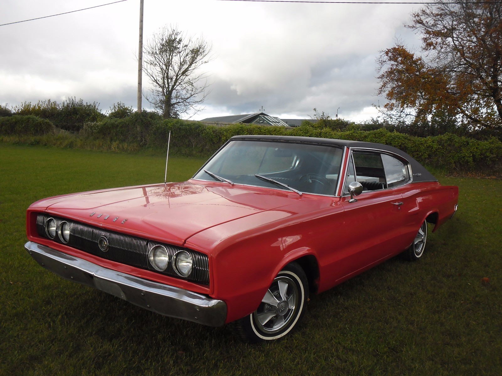 s-l1600.jpg