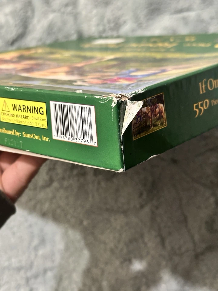 If Only I Could by June Dudley Little Cowboy Horse Western Foto 3 de 3