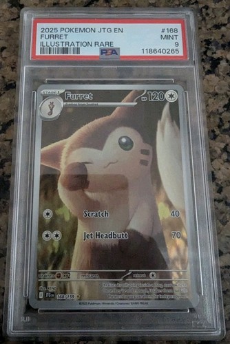 2025 Pokemon Journey Together #168 Furret IR PSA 9 - 第 1/2 張圖片