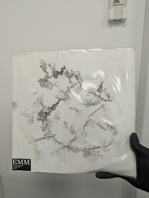 Sam McLoughlin & David ChattonEnvironmental Meditation Music (Vinyl) bent cover