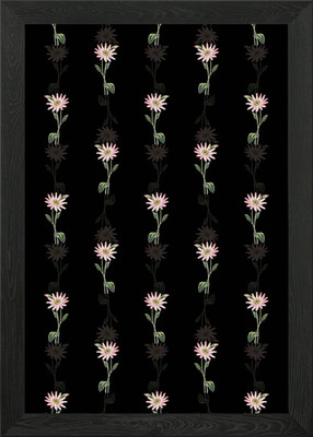 Mr Dicksons Echinacea Gerahmtes Wandbild Poster Leinwanddruck Bild