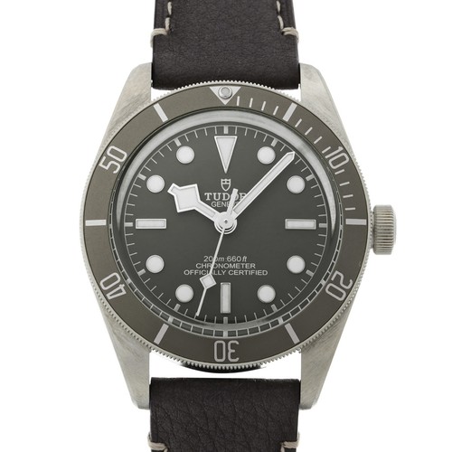 TUDOR Black Bay 58 79010SG Taupe WATCH 733735