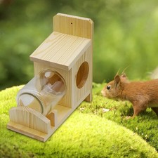 Squirrel Feeder Ornament Squirrel Feeding Station for Tree Outside Backyard