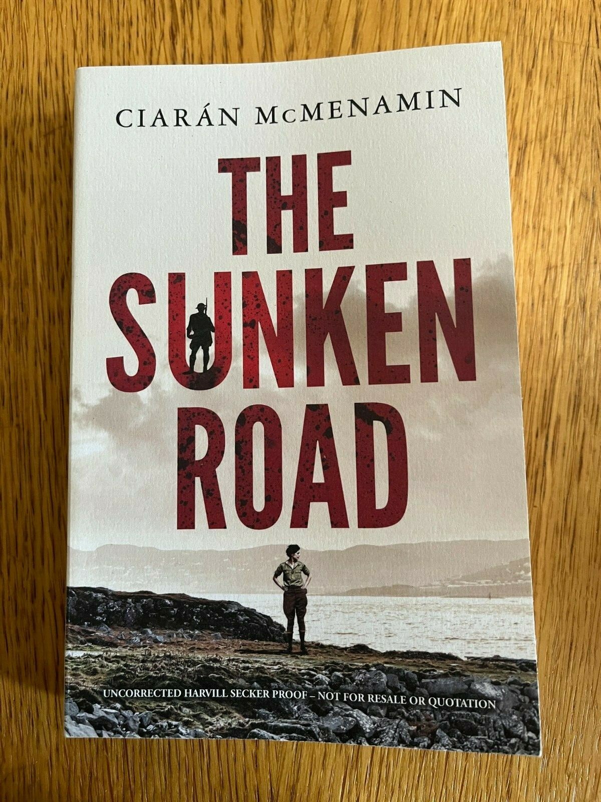 THE SUNKEN ROAD by CIARAN MCMENAMIN - HARVILL SECKER- P/B - *PROOF*