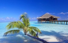 Landscape maldives resort beach palm trees sand birds Custom Gaming Mat Desk