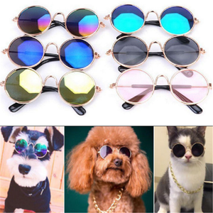Détails Sur Nouvellement Chien à Lunettes Chat Pour Animal De Compagnie Petit Chien Eye Porter Puppy Lunettes De Soleil Photos Props Afficher Le