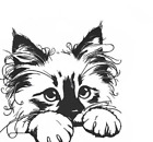 Birman Kitten Kitty Cat White Cotton Dish Tea Towel Embroidered