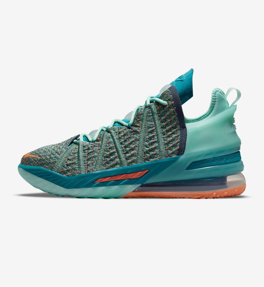 lebron we are family shoes