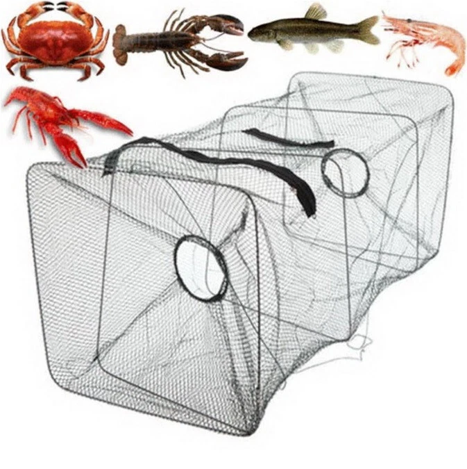 Nassa Imbuto Professionale Trappola Pesca Seppie Seppia Pesci Pesce