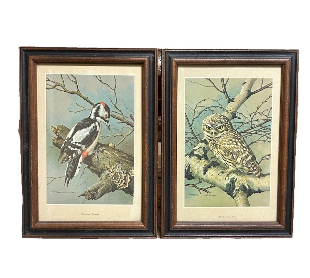 basil ede products for sale | eBay