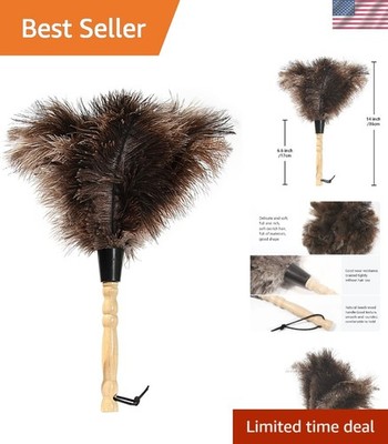 Eco-Friendly 14-Inch Ostrich Feather Duster with Wooden Handle - Soft & Stylish