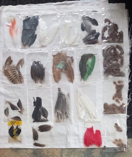 Lot 523. Fly Tying Materials. Large Mixed Lot Of Feathers.