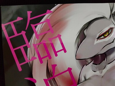 POKEMON Doujinshi Hisuian Zoroark X Lucario (B5 28pages) URAGERI