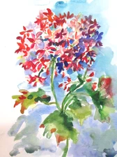 Delilah Geraniums floral still life watercolor painting impressionism garden
