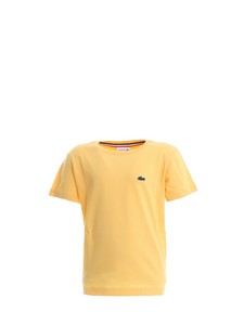 t shirt lacoste bambino