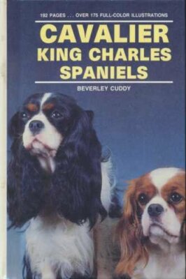 Cavalier King Charles Spaniels (Kw-193) By Beverley Cuddy