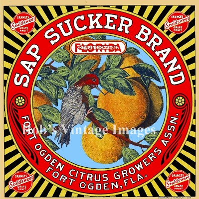 Sap Sucker Orange Fruit Crate Label Art Print Ft. Ogden, FL | eBay