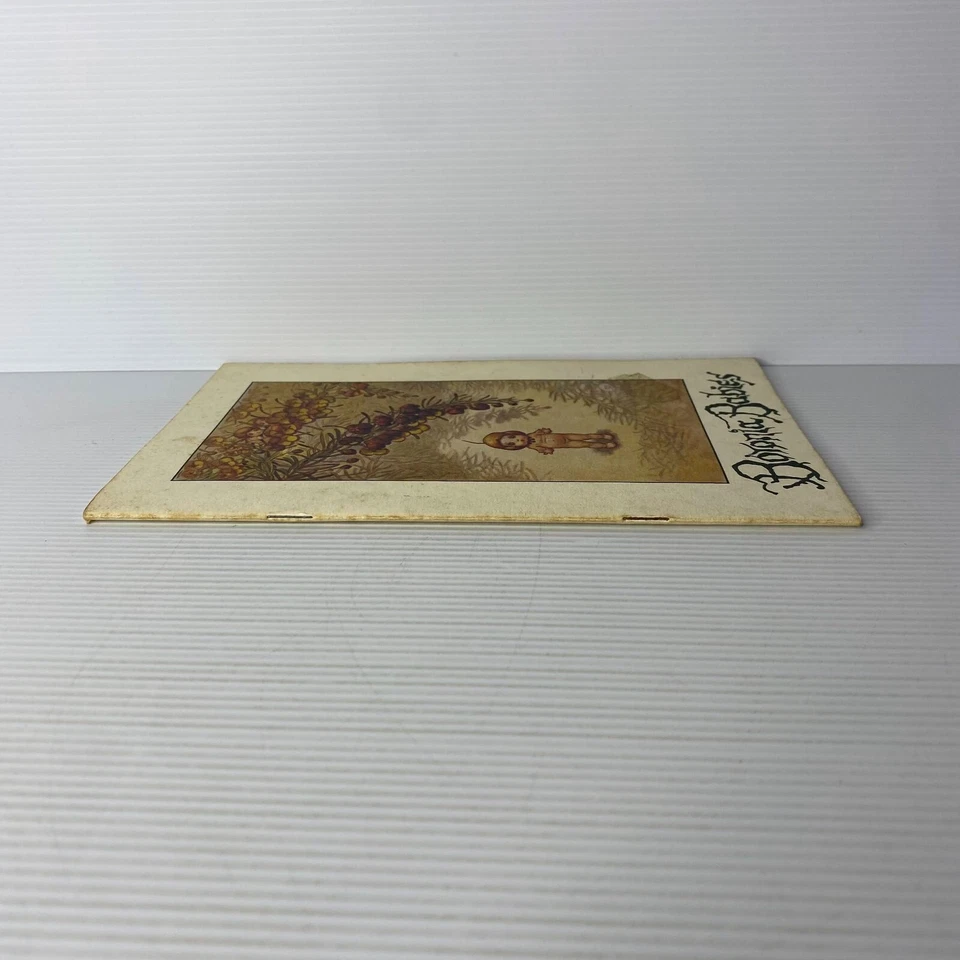 Boronia babies by May Gibbs - image 3 of 4