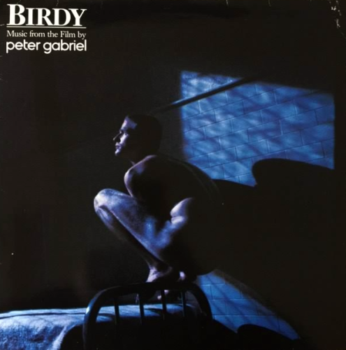 PETER GABRIEL ‎- Birdy: Music From The Film (LP) (VG-/G++) - Zdjęcie 1 z 1