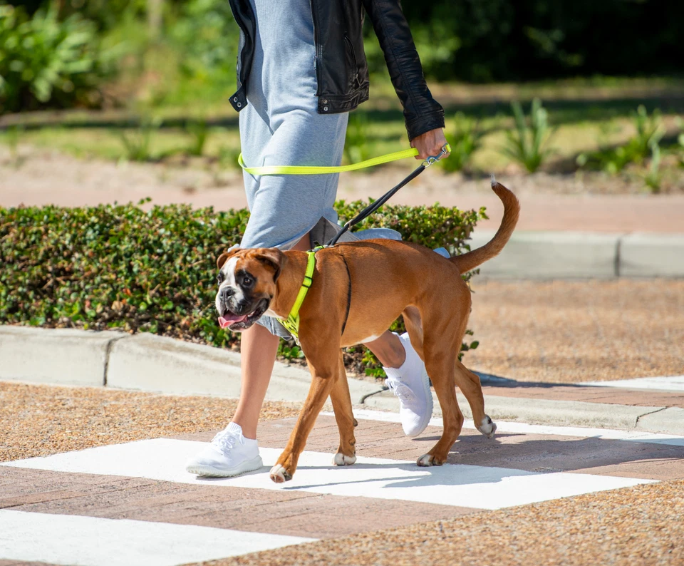 Rogz Stop Pull Harness - Image 3 of 4