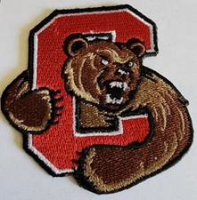 Embroidered Cornell Big Red NCAA College Patch approx 3x3.5"