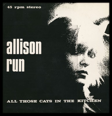 Allison Run - All Those Cats In The Kitchen (12'')