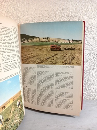 The World and It's People Of ITALY Illustrated Library Hardcover Book - Picture 2 of 3