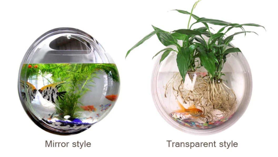 Ebay top aquarium supplies