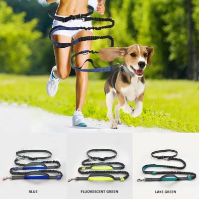 Traction Rope Pet Dog Running Pull Puppy Leash Metal D-ring