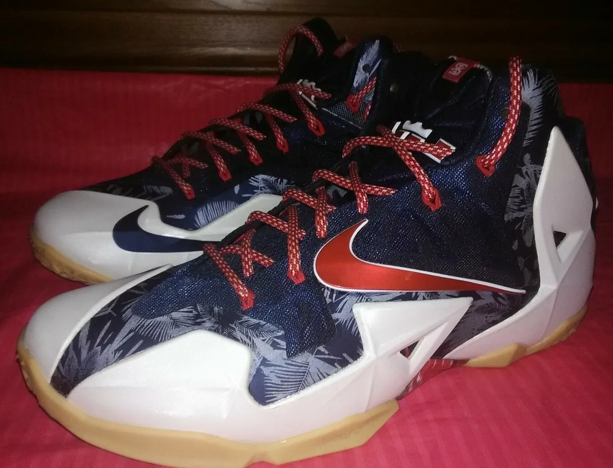 lebron 11 independence day