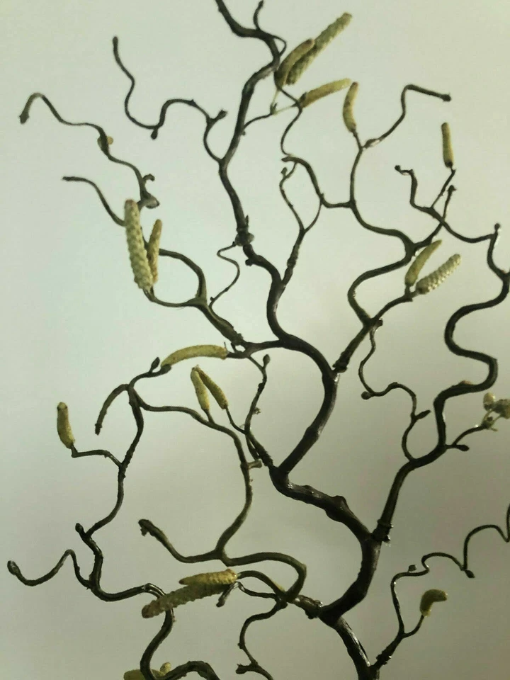 Haselnusszweig Korkenzieherhasel 70cm künstlicher Zweig Korkenzieherzweig Hasel - Bild 2 von 3