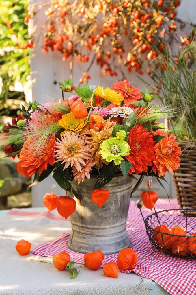 Thumbnail - Herbst | Ulrike Schmidt | 2021 | Deutsch