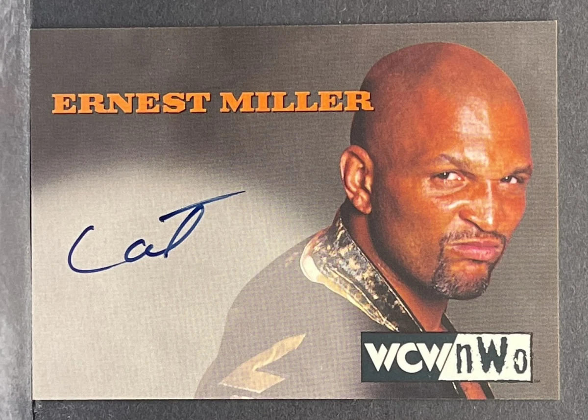 World Wrestling Championship (WCW) Wrestling Autographed Sports