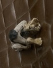 Vtg GOLLUM? Miniature figurine collectible — photo 9