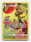 Carte pokemon Pomdrapi TG02/TG30  EB 10 Astres Radieux FR