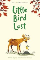 Patricia Hegarty - Little Bird Lost 7 - Hardback - G245Z