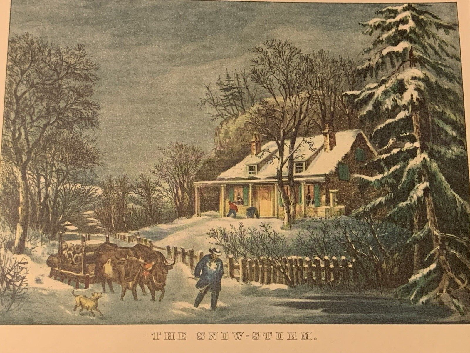 Picture 1 of 7