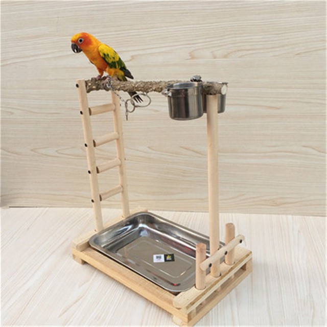 Parrot Tree Bird Stand Wood Parrot Stand Bird Training Tree Toy Play Gym Center eBay