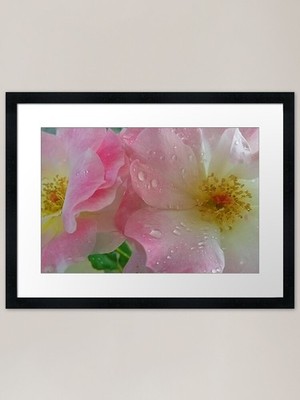 Die Verführung Rose gerahmter Kunstdruck gerahmt Wandbild Poster Leinwanddruck Bild
