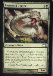 Vastwood Gorger - Magic 2013 (M13) #196 Common