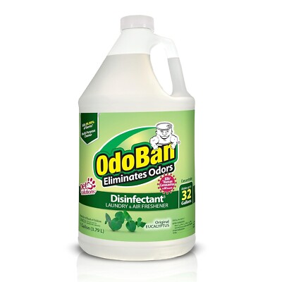 Disinfectant Concentrate and Odor Eliminator,1 Gallon, Original Eucalyptus