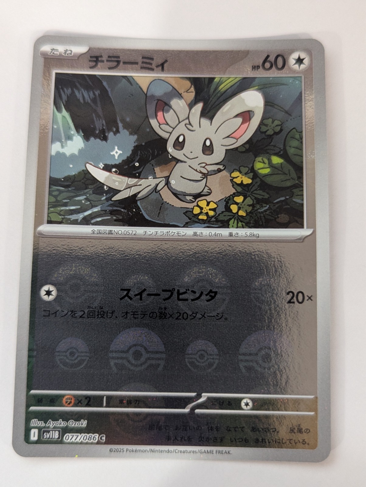 Minccino (Poke Ball Pattern) 77/86 SV11B: Black Bolt Pokemon Japanese Holo NM