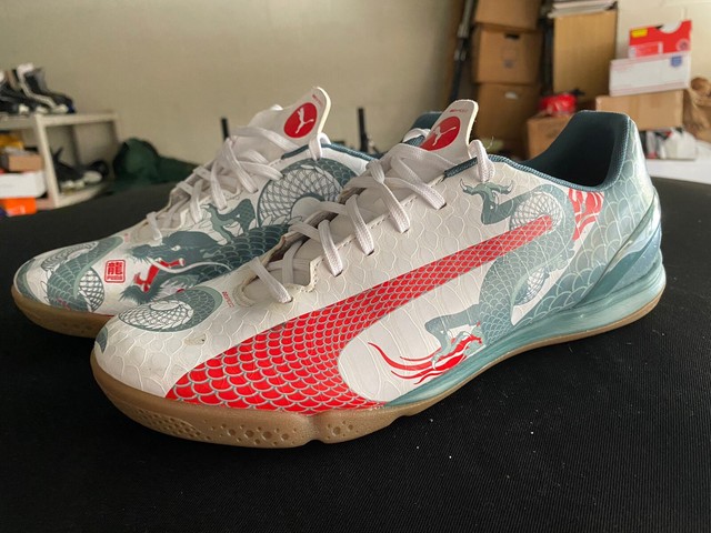 best puma indoor soccer shoes