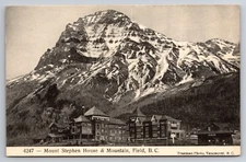 Mount Stephen House & Mountain Field British Columbia Canada c1910 Postcard