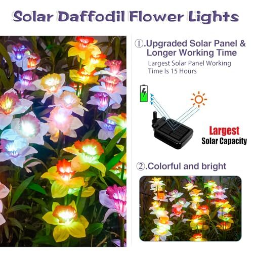 Solar Garden Lights, Solar Daffodil Flower Lights, Color Changing Solar