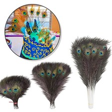 10-100x Natural Peacock Tail  Feathers for Bouquet Millinery Craft Home Decor