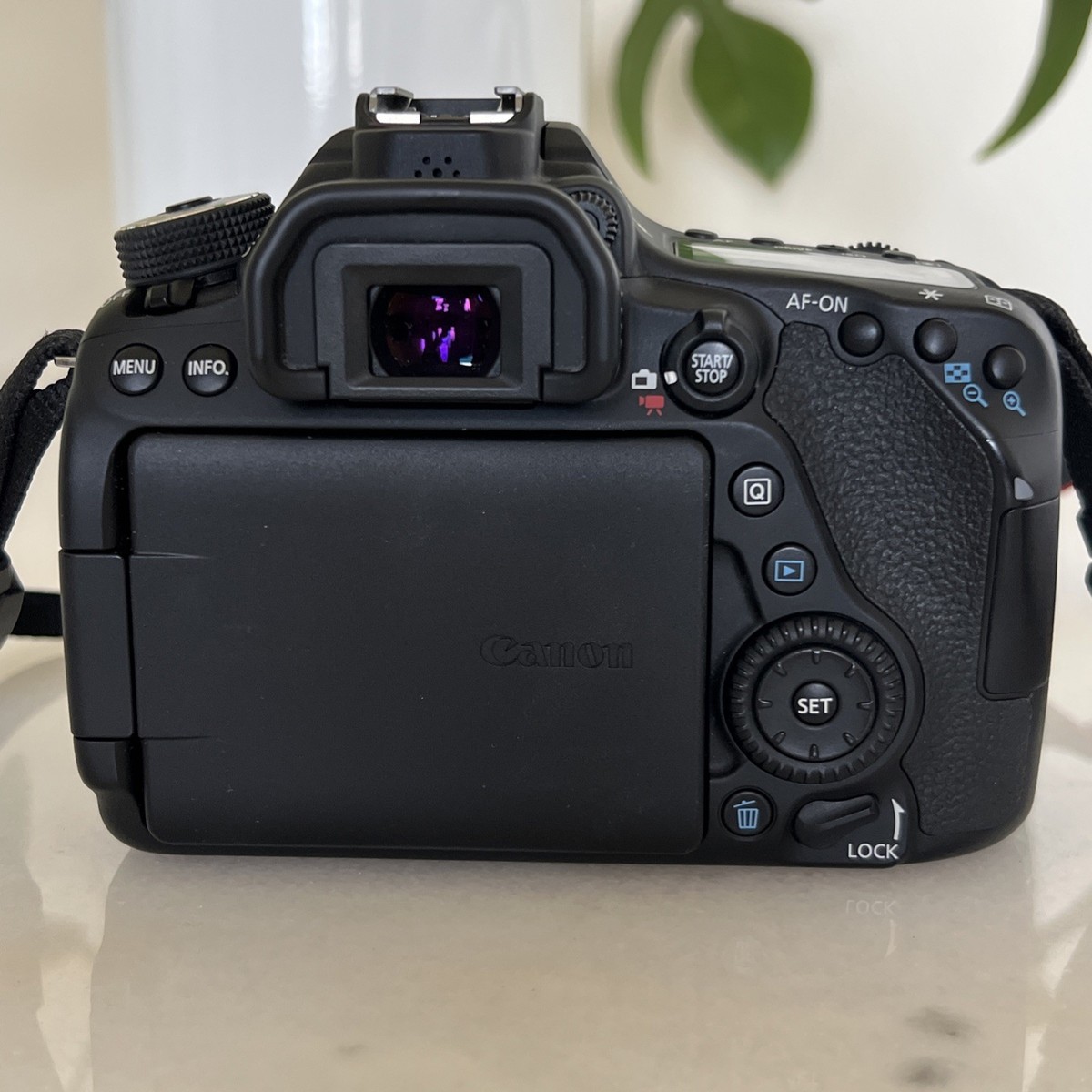 Canon EOS 80D 24.2 MP Digital SLR Camera - Black (Body Only) for